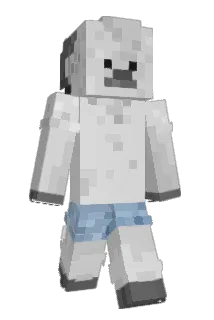 DarcoFTW Minecraft avatar full body