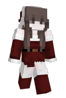 DarekDluznik Minecraft avatar full body