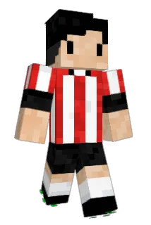 DarkBzzz7 Minecraft avatar full body