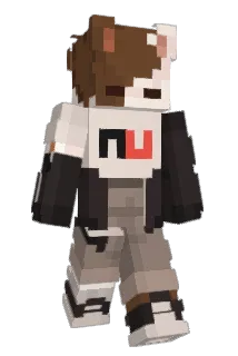 DarkFidjix Minecraft avatar full body
