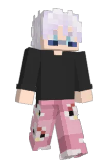 DarkShadowCamper Minecraft avatar full body