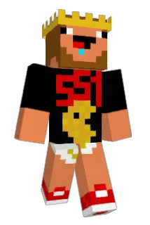 Darks551 Minecraft avatar full body