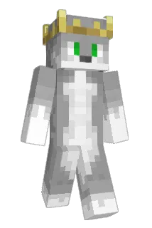 Darkwolf0905 Minecraft avatar full body