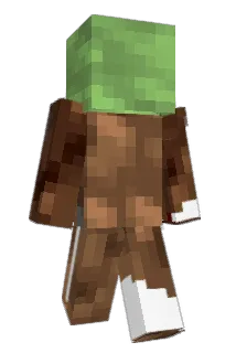 Darmunok Minecraft avatar full body