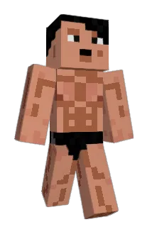 DarnGame Minecraft avatar full body