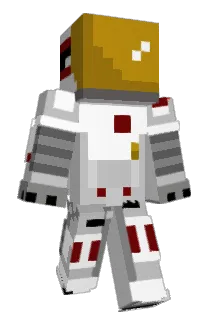 Dart8 Minecraft avatar full body
