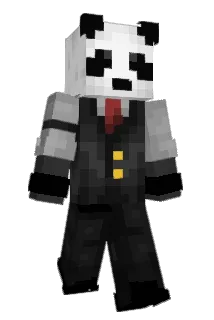 DarthPanda8 Minecraft avatar full body