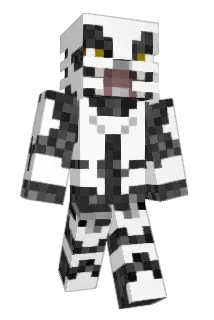DarthPoggster Minecraft avatar full body
