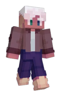 Dartyside Minecraft avatar full body