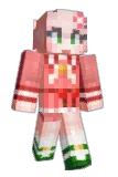Darung Minecraft avatar full body