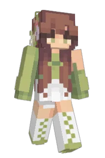 DasNetteMaedchen Minecraft avatar full body