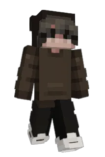 DashDish Minecraft avatar full body