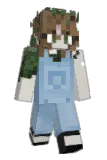 Dashback Minecraft avatar full body