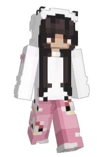 Dashi1T Minecraft avatar full body