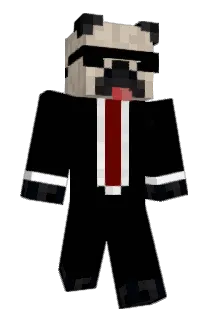 DatOneCoolGuy_01 Minecraft avatar full body