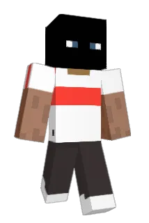 Data12 Minecraft avatar full body