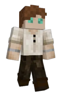 DataPackage Minecraft avatar full body