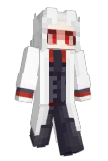 Dausstic Minecraft avatar full body