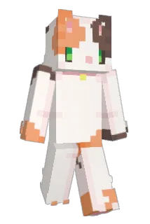 DaveyJ902 Minecraft avatar full body