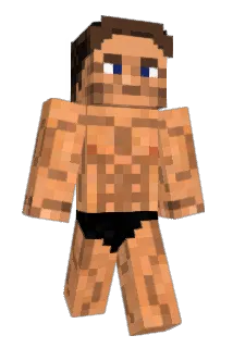 DaviD762_ Minecraft avatar full body
