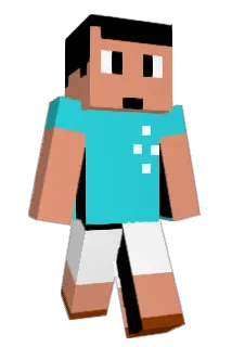 DaviOR13 Minecraft avatar full body