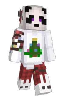 David266 Minecraft avatar full body