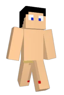 David75012 Minecraft avatar full body