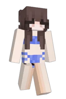 DavidDMC Minecraft avatar full body