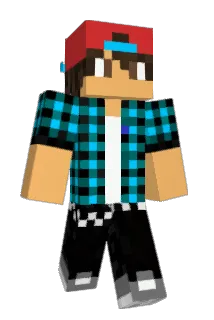 DavisWolf Minecraft avatar full body
