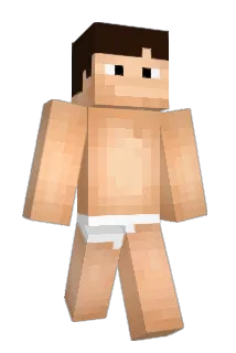 Davizetta11 Minecraft avatar full body