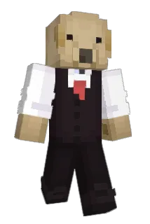 Davo09_ Minecraft avatar full body