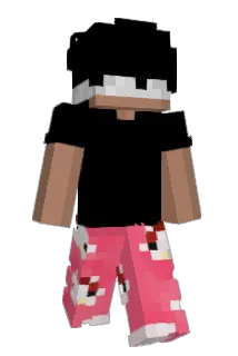 DavyBW Minecraft avatar full body