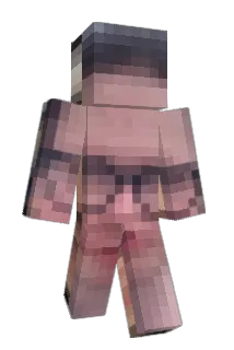 Dawid256 Minecraft avatar full body