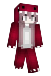 Dawid7171 Minecraft avatar full body