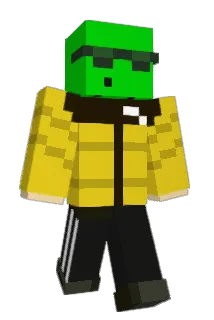 Dawidek1702 Minecraft avatar full body