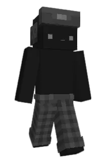 Dawidplsk Minecraft avatar full body