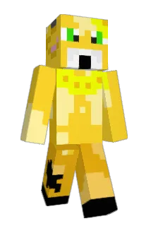 Dawn_n_Night Minecraft avatar full body