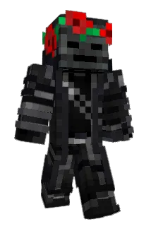DawsonTehDolphin Minecraft avatar full body