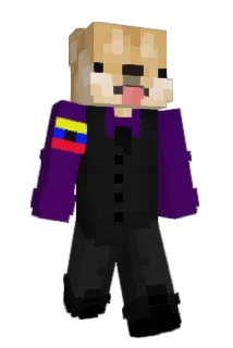 Daxzitoo Minecraft avatar full body