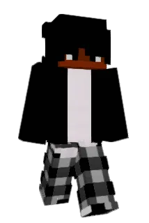 DayPlayz20 Minecraft avatar full body