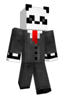 DcrafterHD_ Minecraft avatar full body