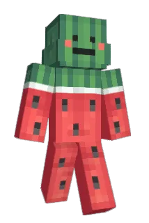 Ddanu_ Minecraft avatar full body