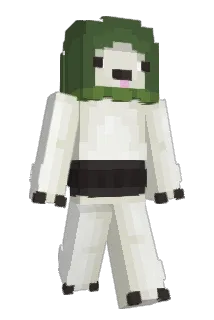 Ddiezzy Minecraft avatar full body