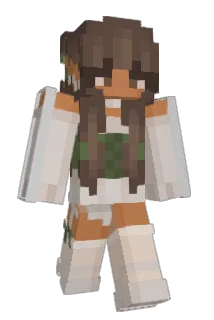 DeBillz Minecraft avatar full body