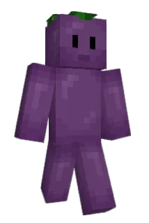 DeColor Minecraft avatar full body