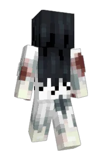 DeLOiginon Minecraft avatar full body