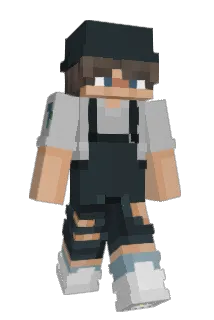 DeMeetus Minecraft avatar full body
