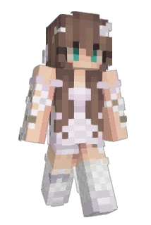 DeNewCZ Minecraft avatar full body