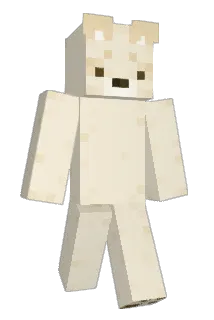 De_Aanvaller Minecraft avatar full body