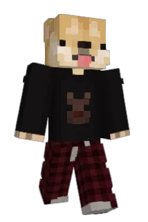 Deathskull1008 Minecraft avatar full body